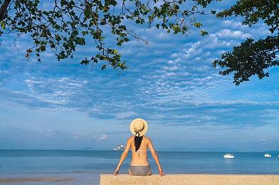 《宝可梦：朱＆紫》 最强帝王拿波袭来  新挑战2月2日举行